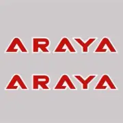 ARAYA - LETTERS - Custom - RED rim decals - Old school bmx