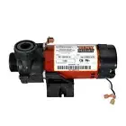 Waterway Plastics 3312610-14 Tiny Might Circulating Pump 115V 1" Union for Pools