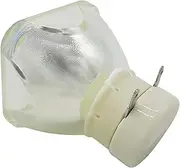456-8958H Replacement Bare Lamp for DU-Kane Imag-ePro 8958H-RJ