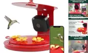 Smart Bird Feeder with Camera for Hummingbirds - 20 oz Nectar Capacity,