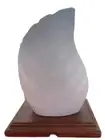 Himalayan Salt Lamp Leaf White Salt Rare Includes Power Cord + Globe