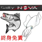 ABU GARCIA SALTY NOVA SERIES 路亞竿 釣竿 海釣