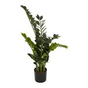 [Florabelle Living] Smargago Plant 1.1M