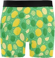 [ZZXXB] Lemon Lime Fruit Mens Boxer Briefs Stretch Breathable Underwear Fly Front with Pouch S-XXL