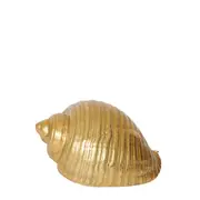 [Sleeping Giant] Moon Snail Shell Sculpture - 22cm x 16cm
