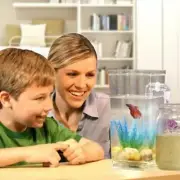 Kids Fish Tank Self Cleaning Small Desktop Fish Aquarium Mini Home Light O8W7