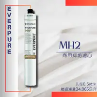 在飛比找蝦皮購物優惠-EVERPURE MH2 商用除菌抑垢濾心 (只可宅配) (
