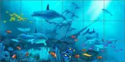 Ceramic Tile Mural Backsplash Miller Undersea Dolphin Fish Ship Wreck DMA2034