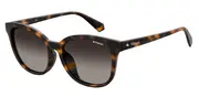 POLAROID-PLD 4089/F/S-86-5517-SUNGLASSES