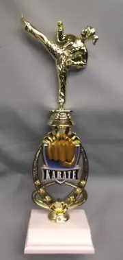 action female karate theme riser trophy award weighted white base