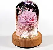 Preserved Flowers Rose with Bluetooth Speaker with Lights Gifts for Mom, Grandma, Wife, or Girlfriend on Mothers Day Valentines Christmas Anniversary Preserved Roses in Glass Dome (Pink)