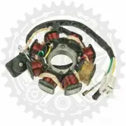 Stator For Jiajue JJ50QT-23 50 4T Ardour