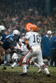 Bill Nelsen Of The Cleveland Browns Drops Back To Pass 1971 NFL OLD PHOTO 1