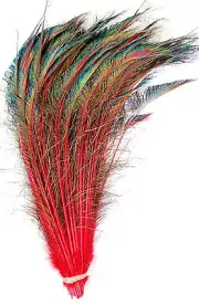 10 Pcs DYED PEACOCK SWORDS - RED Feathers 20-25" Costume/Hats/Bridal/Halloween