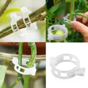 100PCS Tomato Veggie Garden Plant Support Clips Trellis Twine Greenhouse