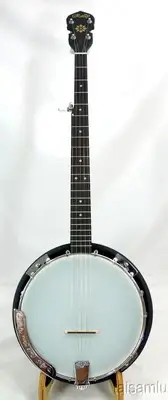 Rally 5 String banjo, Walnut resonator, geared tuners CC50RP Series