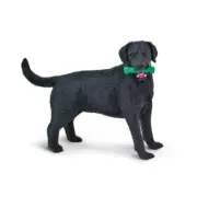 Safari Ltd Black Labrador, #SAF253429