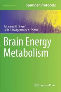 在飛比找博客來優惠-Brain Energy Metabolism