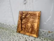 1 Square Beveled Amber Mirror 3" Diameter Made In the USA Crafts Deco Wall