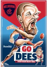 Melbourne demons player premiers TEAM Photo,AFL football, Geelong cats, books
