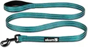 Alcott Adventure Nylon Leash, Blue, Large