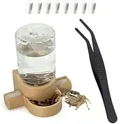 Jumping Spider Accessories -1 MI