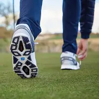 在飛比找Yahoo奇摩拍賣-7-11運費0元優惠優惠-FootJoy高爾夫球鞋男全新Pro SL巡回賽球員同款男鞋