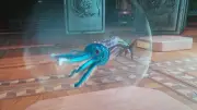 Ark Survival Ascended PVE Tuso Chibi Unleveled