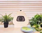 Everybot Three spin plus TS350 /Robot mop vacuum cleaner/Express/Genuine