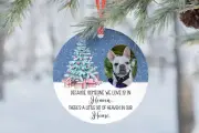 Personalised Photo Remembrance Bauble Tree Decoration Because Someone We Love