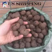 15-30mm expanded clay rock horticultural growing large scale hydroponic system