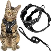 Best Pet Supplies Voyager Escape Proof Cat Harness and Leash Set with Reflective Stitching, Neoprene Handle 5ft - Supports Small, Medium and Large Cats, Kittens - Black, M (Chest: 16.5-19.5")
