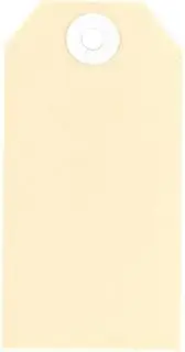 Avery Buff Shipping Tags, Beige, Size 8, 160 x 80 mm, 1000 Tags (18000)
