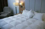 Dyne Single 90% Hungarian Goose Down Squared Quilt - 4 Blanket - Made in Aust