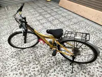 在飛比找Yahoo!奇摩拍賣優惠-捷安特19吋兒童腳踏車