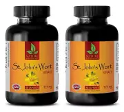Ginkgo Biloba Leaves - ST. JOHN'S WORT EXTRACT - Reduces Stress And Tension 2B