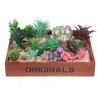 Artificial Succulent Plants Faux Assorted 24PCS Unpotted Mini Plastic Greenery