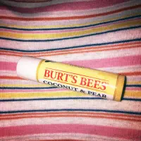 在飛比找蝦皮購物優惠-全新未拆封 burt's bee 護唇膏