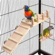 Bird Perches Platform Swing with Ladder Sturdy Wooden Gym for Small Birds