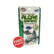 Hikari Algae Wafers 20gm (KH21302)