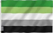 ANLEY Fly Breeze 3x5 Feet Aromantic Pride Flag - Vivid Color and Fade Proof - Canvas Header and Double Stitched - Aromantic Pride Flag Polyester with Brass Grommets 3 X 5 Ft