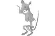 Mirabella Skeleton Rat Glow In The Dark each