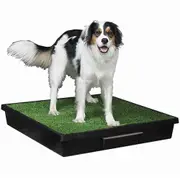 The Pet Loo Large Cat & Dog Backyard / Balcony Toilet In A Box [ PWM00-14499 ]
