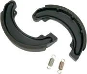 SBS Brake Shoes w/Springs (2024)