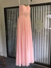 Foxy Lady Alyce Paris Sleeveless Gown. Size 4 Rose water Color.