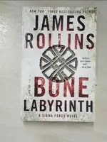 【書寶二手書T5／原文小說_PEA】THE BONE LABYRINTH_ROLLINS, JAMES
