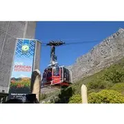 Save 9.99%! Table Mountain, Boulder's Penguins & Cape Point Private Tour from Cape Town