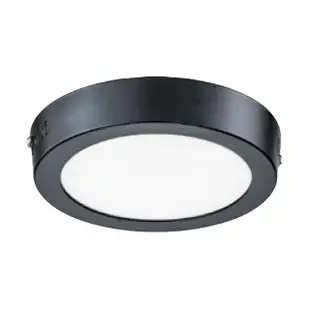 【大巨光】典雅風LED 12W 吸頂燈-小_LED(LW-11-3958)