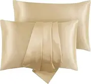 Satin Pillowcase, T Tersely 2 Pack 20"x 30" Silk Satin Pillowcases for Hair and Skin Queen Size Pillow Case with Envelope Closure (Taupe)