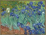 Irises-Vincent van Gogh Canvas 100% cotton wall home Decor high quality